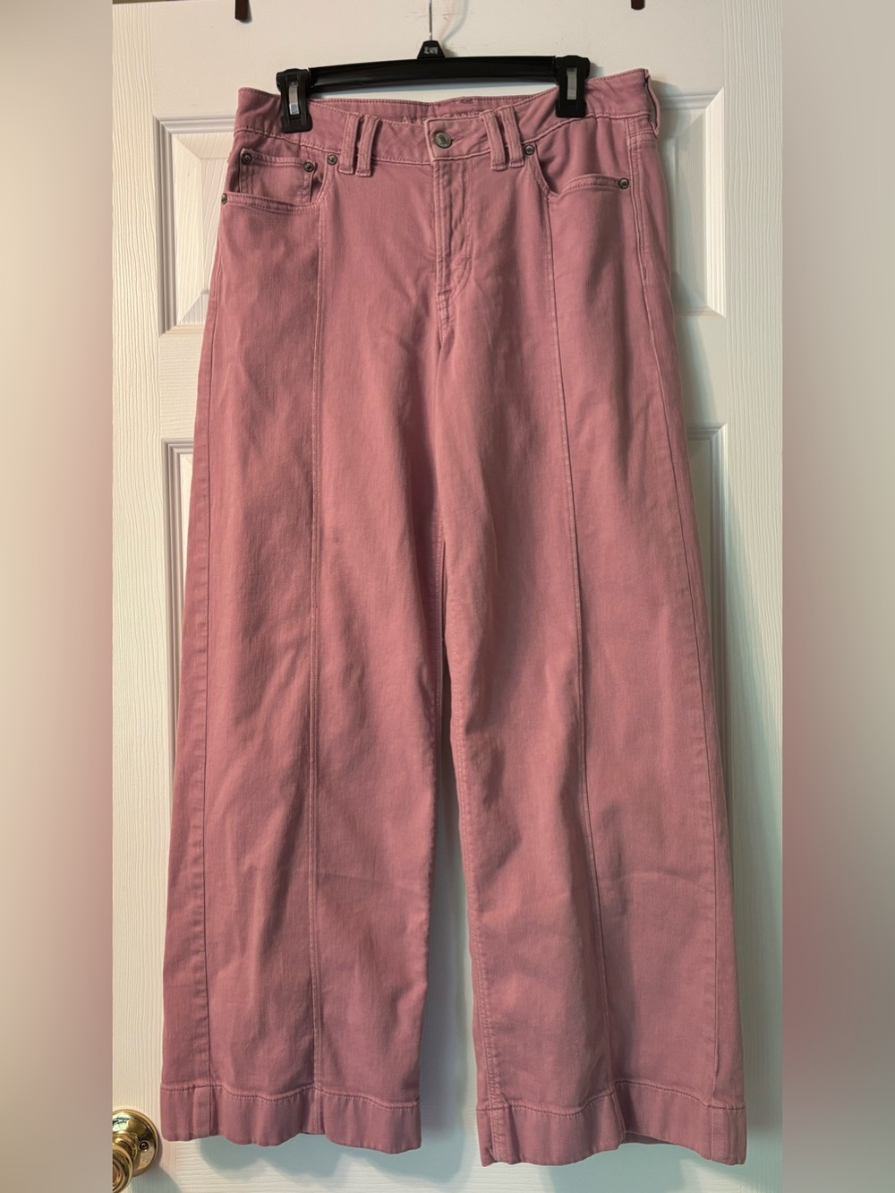 American Eagle Low Rise Baggy Wide Leg Pants in Purple Wash
Size 6 EUC